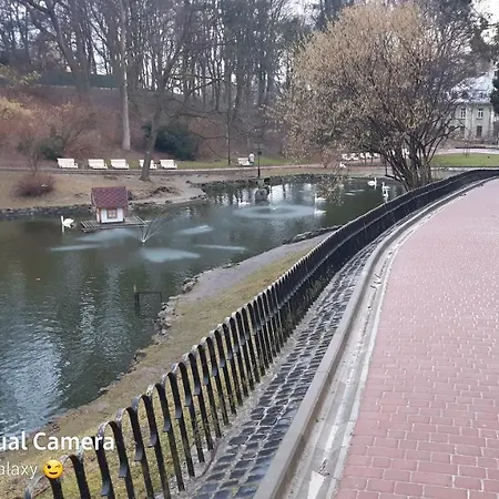 220v 3аbжди Point *