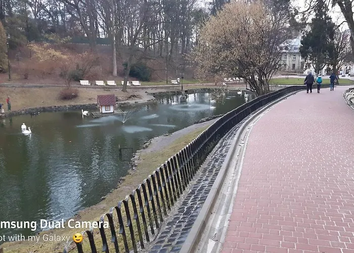 220v 3аbжди Point *