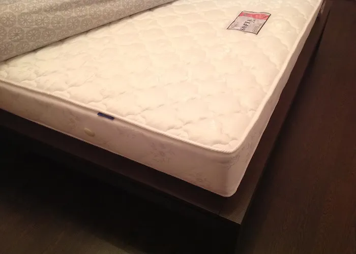 220v 3аbжди Point * إلفيف